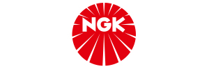 NGK - Systemzentrale Plus